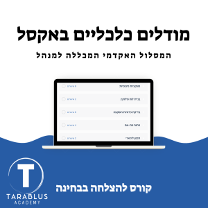 ניתוח מודלים כלכליים באקסל